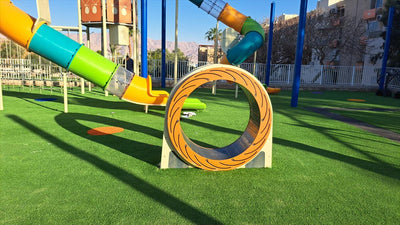 Psagot Playgrounds Hamster Wheel - additional view 5