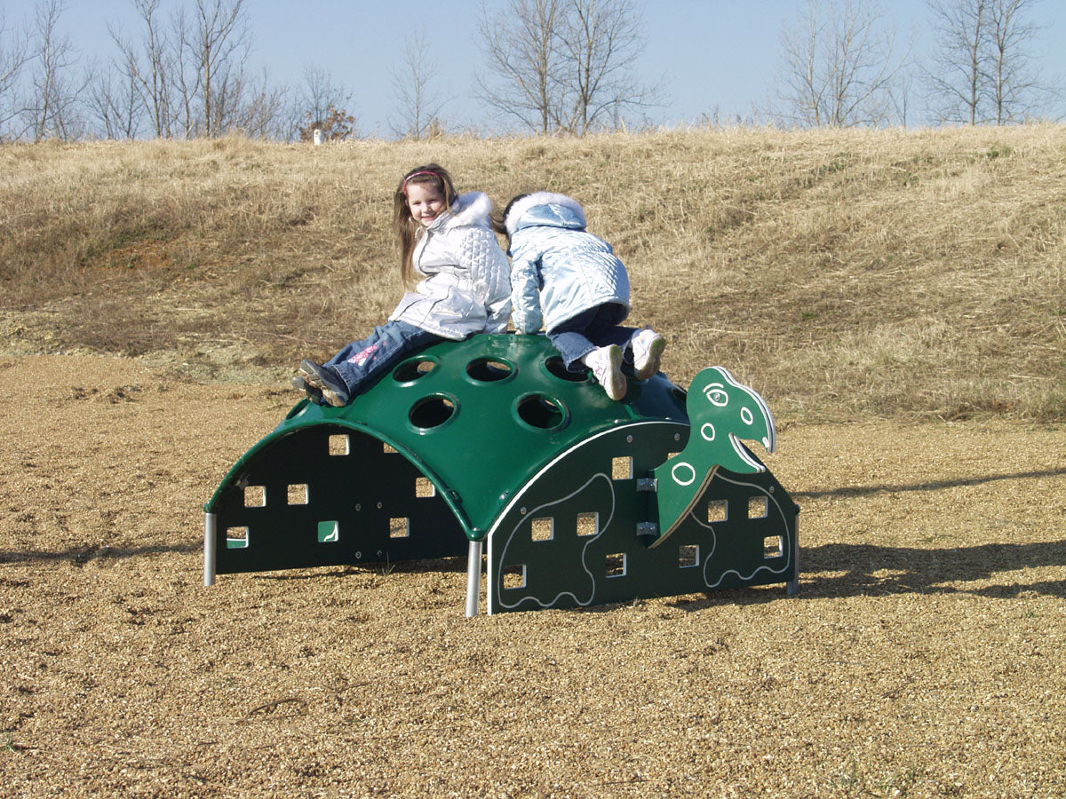 Sports-Play-Playscapes-Turtle-Climber
