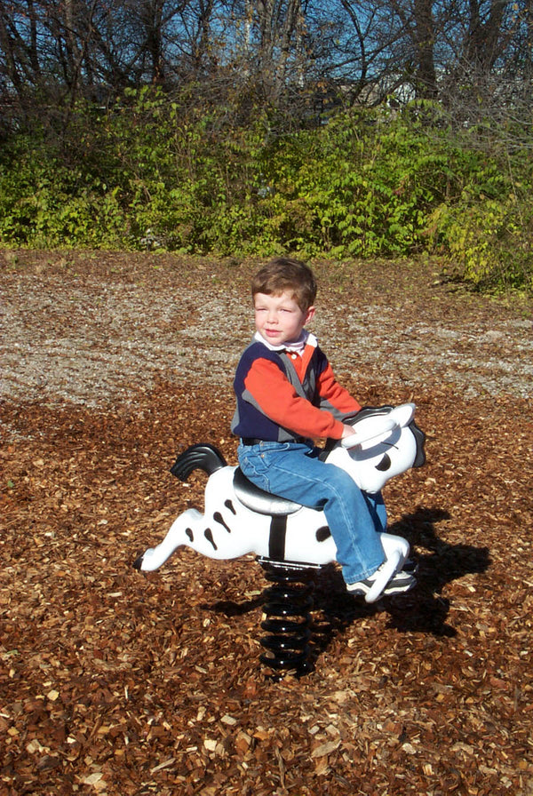 Sports Play Zebra Spring Rider - NJ Swingsets