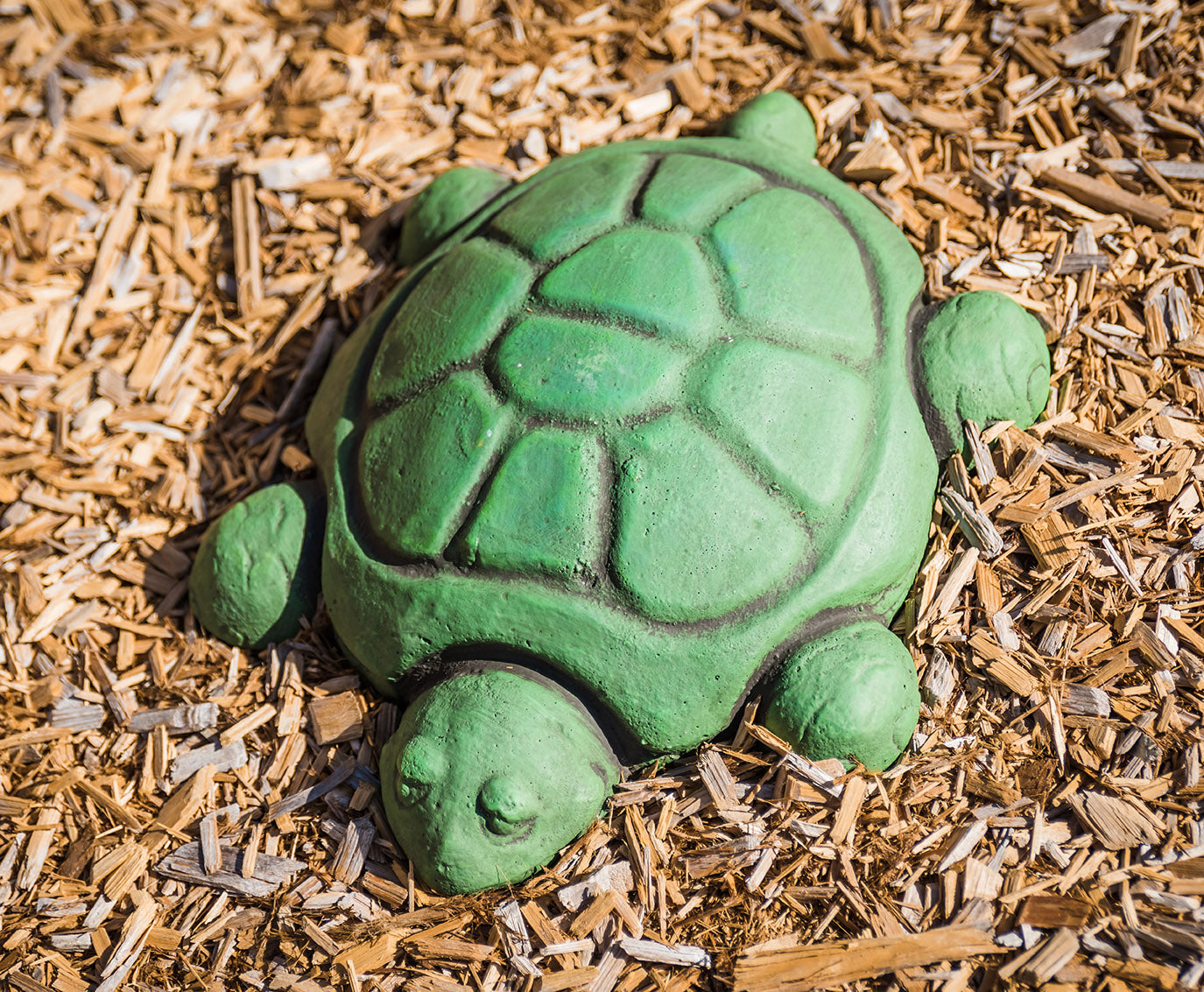 Stepping Turtles