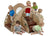 Ultra-Play-Crawl-Toddle-Coated-Steel-Kids