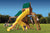 Playground-One-Original-Playcenter-with-Monkey-Bars-Sky-Loft-and-Tube-Slide